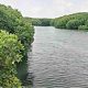 Les mangroves repoussent en Égypte malgré un tourisme intense