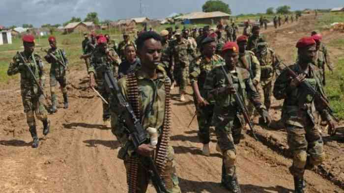 Le gouvernement éthiopien et les forces tigréennes acceptent les premières négociations formelles depuis le déclenchement de la guerre