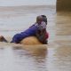 Le Secrétaire général des Nations Unies exprime sa tristesse face aux ravages causés par les inondations au Nigeria