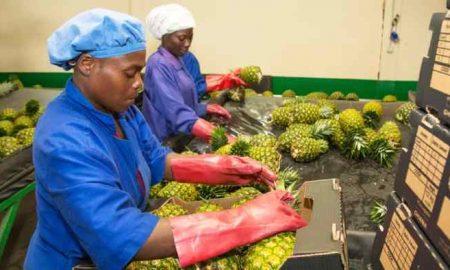 Nestlé s'associe à Africa Food Prize pour renforcer la sécurité alimentaire et la résilience au changement climatique