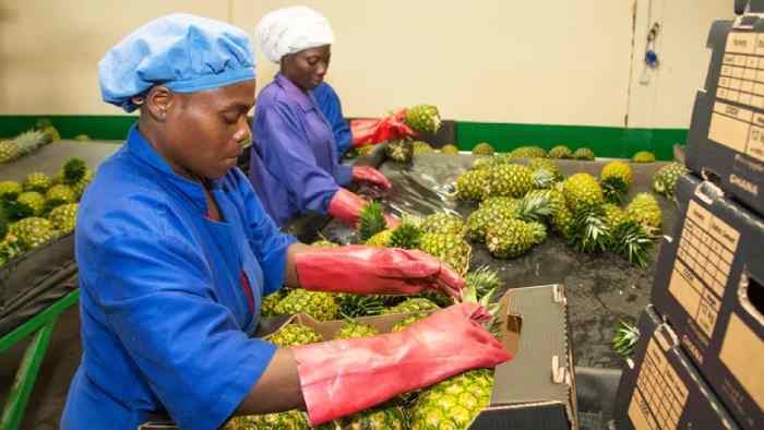 Nestlé s'associe à Africa Food Prize pour renforcer la sécurité alimentaire et la résilience au changement climatique