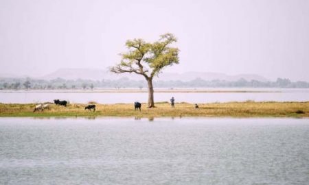 100 milliards de dollars d'opportunités d'investissement dans l'adaptation au changement climatique en Afrique d'ici 2040