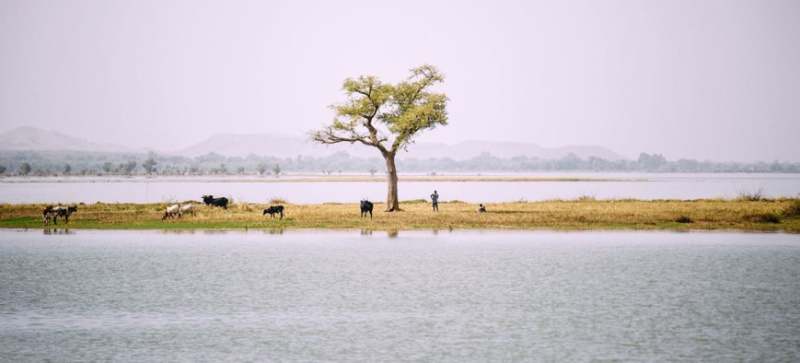 100 milliards de dollars d'opportunités d'investissement dans l'adaptation au changement climatique en Afrique d'ici 2040