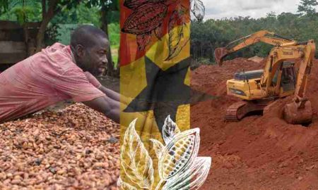 Comment l'extraction de l'or en Afrique menace-t-elle l'industrie du chocolat ?