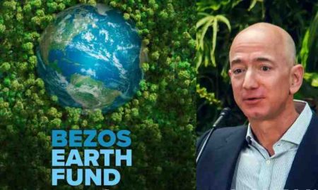 Le Bezos Earth Fund engage 50 millions de dollars pour la restauration de l'Afrique