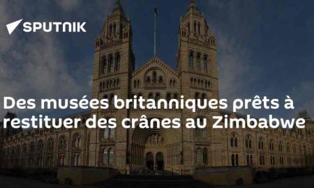 La Grande-Bretagne a l'intention de restituer des crânes (de l'époque coloniale) au Zimbabwe