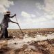 "Le climat change, nous pouvons changer aussi" le message de la fille Revan de Libye lors du sommet sur le climat en Egypte