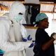 Un scientifique américain pense que le virus Ebola s'est échappé d'un laboratoire financé par les États-Unis en Afrique