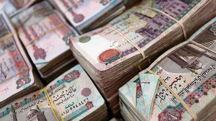 Pourquoi le flottement de la livre et l'accord avec le FMI n'ont-ils pas affecté l'économie égyptienne ?