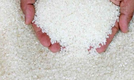 Malgré l'autosuffisance, pourquoi le riz disparaît-il en Égypte ?