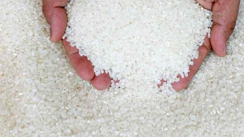 Malgré l'autosuffisance, pourquoi le riz disparaît-il en Égypte ?