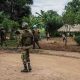 Le Conseil de sécurité prolonge les missions de la "MINUSCA" en République centrafricaine