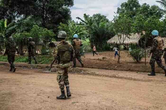 Le Conseil de sécurité prolonge les missions de la "MINUSCA" en République centrafricaine