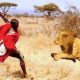 Les Maasai entre chasser les lions et boire du sang de vache…L'histoire du peuple lanceur