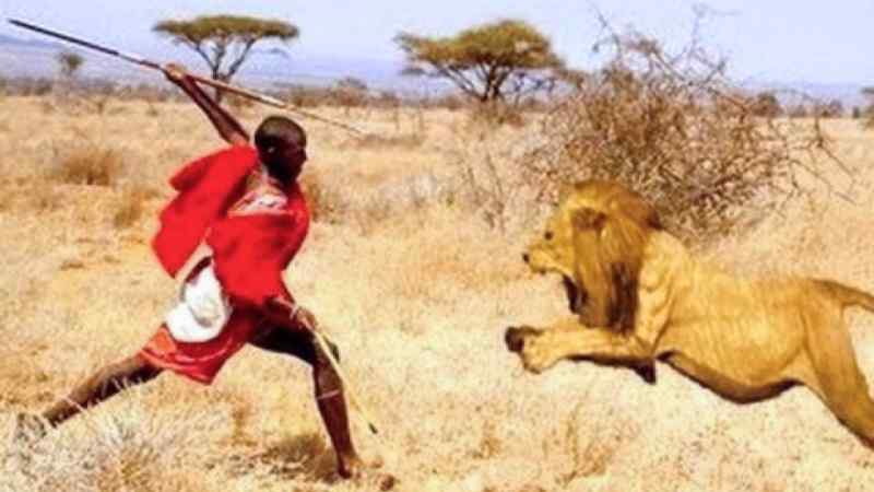 Les Maasai entre chasser les lions et boire du sang de vache…L'histoire du peuple lanceur