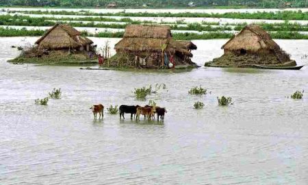 Représentant de la RDC à la Conférence sur le climat : Le Fonds d'adaptation doit être considéré et des résultats tangibles doivent être produits