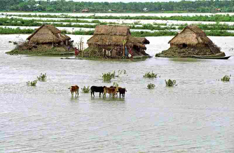 Représentant de la RDC à la Conférence sur le climat : Le Fonds d'adaptation doit être considéré et des résultats tangibles doivent être produits