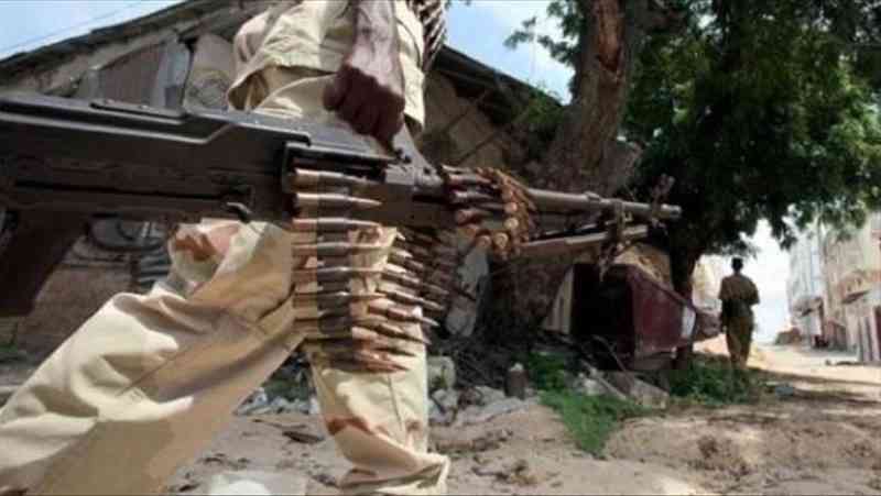 100 militants d'al-Shabab tués dans le centre de la Somalie lors d'une opération de l'armée