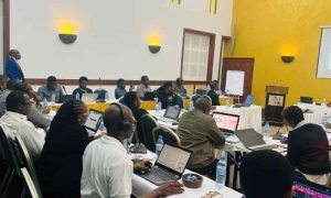 SystemOne lance un réseau de diagnostic médical en Tanzanie pour réduire le temps de traitement