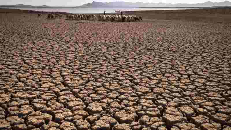 L'Union européenne alloue un milliard d'euros pour aider l'Afrique à faire face au changement climatique