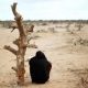 Nations Unies : l'Afrique fait face à des défis climatiques difficiles et est la première à être compenser