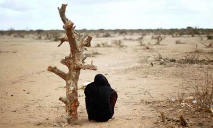 Nations Unies : l'Afrique fait face à des défis climatiques difficiles et est la première à être compenser