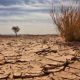 En 2022...5 phénomènes qui révèlent la "visage hideux" du changement climatique en Afrique