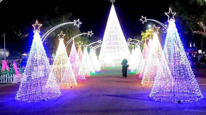 Nigeria : Les habitants d'Abuja savourent le plaisir du nouveau village de Noël