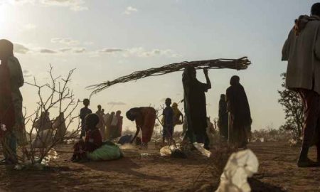 Somalie : les personnes déplacées se demandent ce qui va leur arriver à l'approche de la famine et leurs espoirs s'estompent avec elle