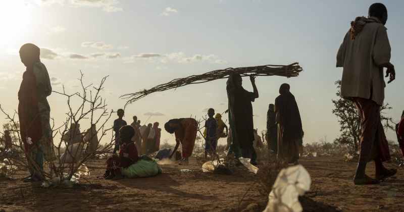 Somalie : les personnes déplacées se demandent ce qui va leur arriver à l'approche de la famine et leurs espoirs s'estompent avec elle