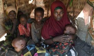Somalie : Les efforts humanitaires ont écarté la menace de la famine, mais son spectre plane toujours sur l'année prochaine