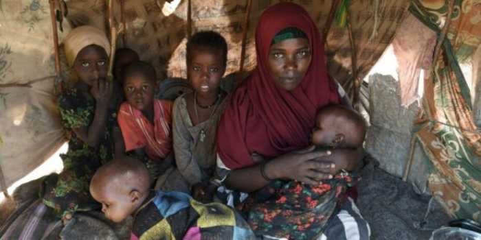 Somalie : Les efforts humanitaires ont écarté la menace de la famine, mais son spectre plane toujours sur l'année prochaine