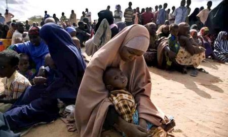 La sécheresse et le conflit obligent 80 000 Somaliens à chercher refuge au Kenya