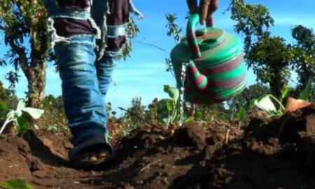 Le groupe TDB accorde un financement de 100 millions de dollars au groupe de commerce d'exportation pour soutenir les agriculteurs en Afrique