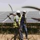 Projets de production d'énergie propre en Afrique de l'Est : opportunités - perspectives - défis