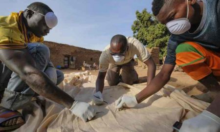 Combattre le paludisme avec la chlorophylle et la lumière du soleil en Afrique