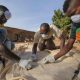 Combattre le paludisme avec la chlorophylle et la lumière du soleil en Afrique