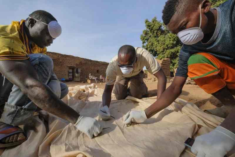 Combattre le paludisme avec la chlorophylle et la lumière du soleil en Afrique