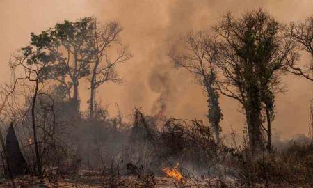 La vague de chaleur fait huit morts en Afrique du Sud