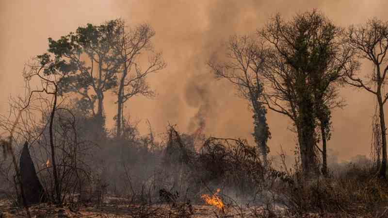 La vague de chaleur fait huit morts en Afrique du Sud