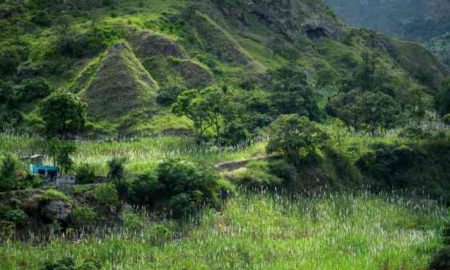 Une oasis durable dans le pays frappé par la sécheresse du Cap-Vert