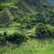 Une oasis durable dans le pays frappé par la sécheresse du Cap-Vert
