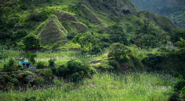 Une oasis durable dans le pays frappé par la sécheresse du Cap-Vert