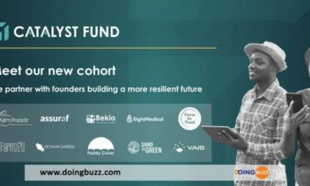 10 startups africaines sur le changement climatique reçoivent un investissement de 2 millions de dollars du Catalyst Fund