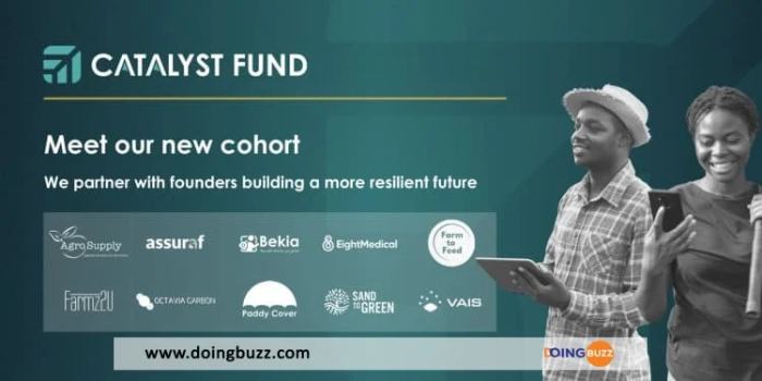 10 startups africaines sur le changement climatique reçoivent un investissement de 2 millions de dollars du Catalyst Fund