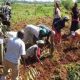 Le programme de subventions Cisco permet aux petits exploitants agricoles au Kenya de bénéficier de technologies innovantes