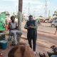 Mbolé, la bande originale de la vie et de la mort au Cameroun