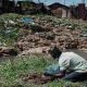 Les eaux usées de la rivière Nairobi et la pollution industrielle s'infiltrent dans les aliments et l'eau