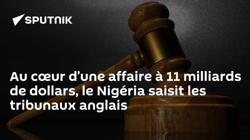 Le Nigeria lance un appel contre une facture d'arbitrage P&ID de 11 milliards de dollars