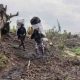 La déforestation menace un parc national en RDC